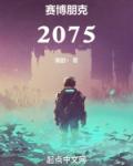 赛博朋克2075女主角