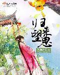 归来望思(双重生)晋江