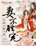 妻不如妾全文免费阅读完结