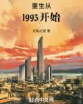 重生从1993开始几个女主