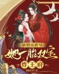 新婚夜被辱她一胎双宝炸王府幕云澜