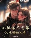 小叔叔全文免费
