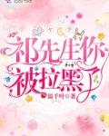 祁先生你被拉黑了无弹窗