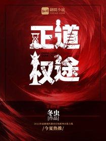 正道权途最新章节官网