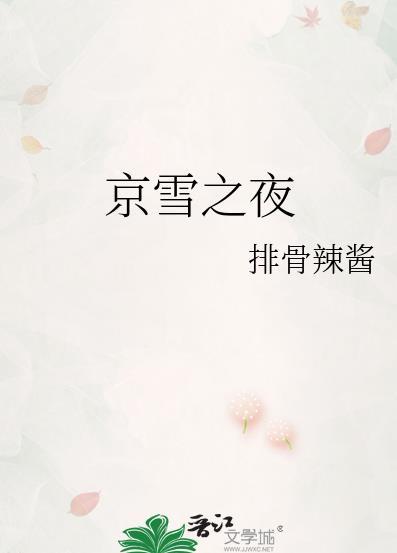 京雪之夜全文阅读免费