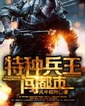 特种兵王闯都市TXT
