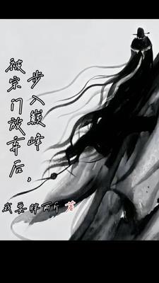 步入巅峰书评