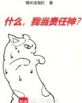 我当责任神?章节目录