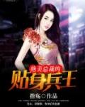 绝美总裁的帖身兵王