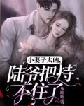 陆爷把持不住了什么时候更完