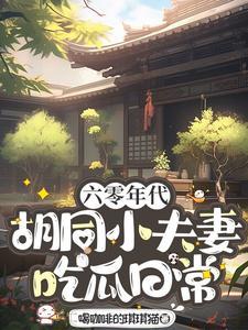 六零胡同小夫妻日常TAT趣书网