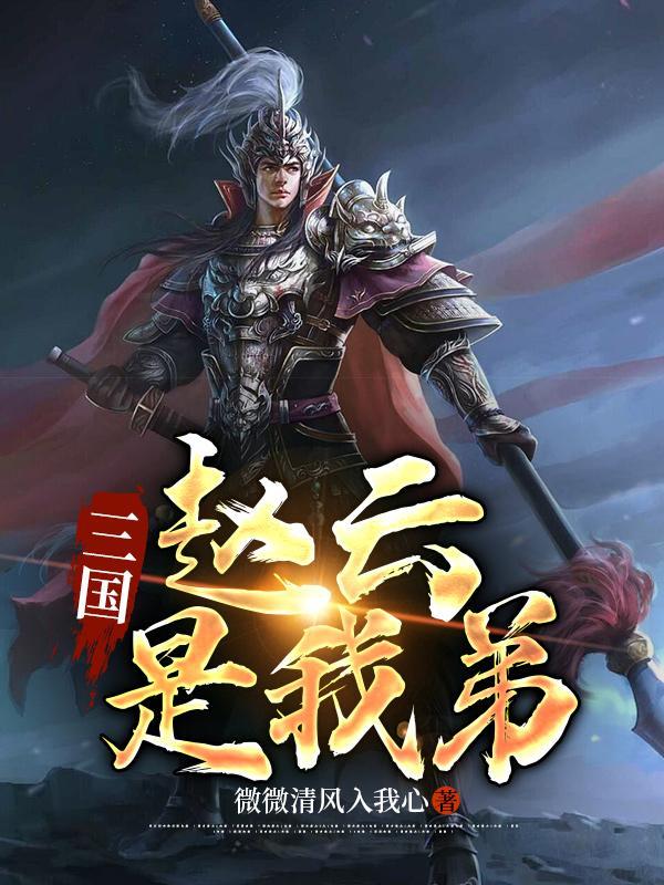 三国之赵云弟弟