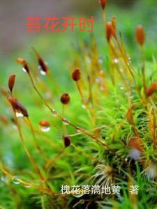 苔藓开花吗?什么时候开花