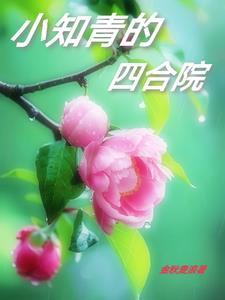 小知青的四合院类别重生作者 金秋麦浪