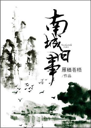 好书推荐南城旧事