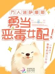 万人迷萨摩耶