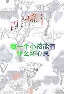四合院我一个小孩能有什么坏心(一云开一)