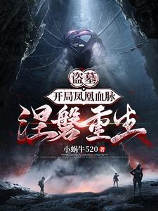 盗墓凤凰血脉飞卢