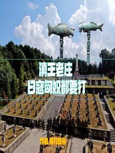 滇王老窖价格和图片
