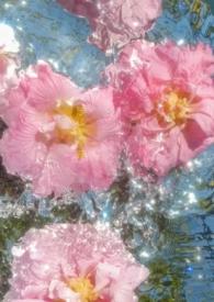 涉江采芙蓉结构特点