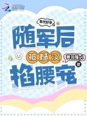年代随军宠文