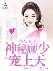 神秘顾少的掌上宝