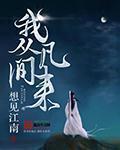 我从凡间来书评