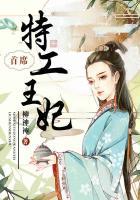 首席特工王妃真爱番外