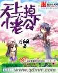 天上掉下个小老公破解版