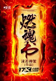 燃魂书是什么意思