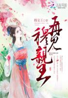 穆亲王有几个