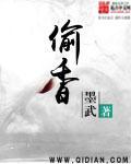 偷香电影解读