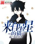 来自星星的猫吃掉炸鸡和啤酒