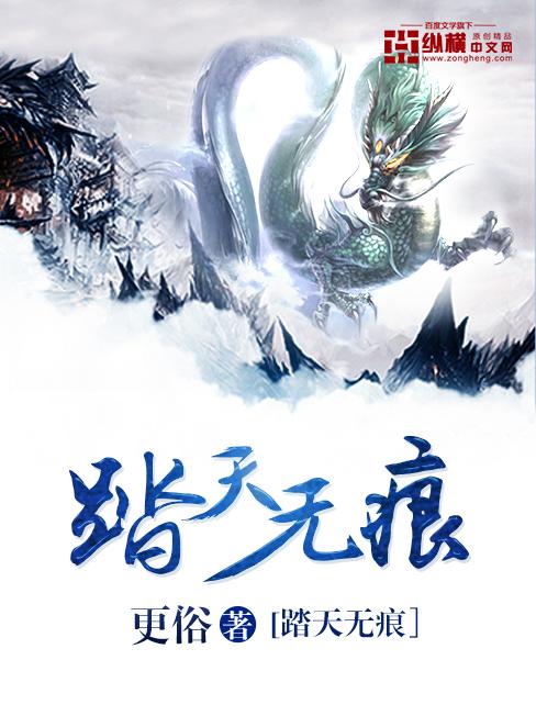 踏天无痕和大荒蛮神的关系