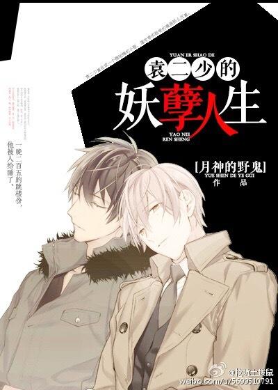 袁二少的妖孽人生百度无删减版
