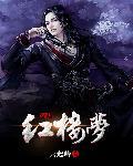 穿越红楼梦成为武将