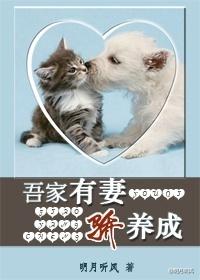 吾家有妻初长成免费阅读
