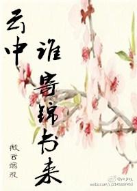 谁寄锦书来在线观看