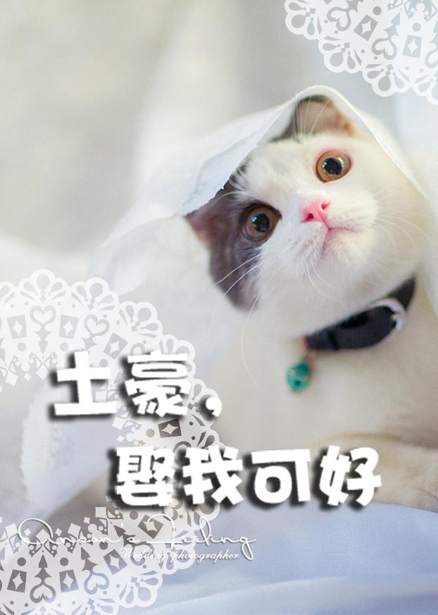 土豪娶我可好by莱弗全文阅读