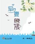 军妻的