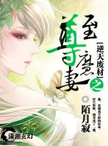 逆天废柴至尊九小姐