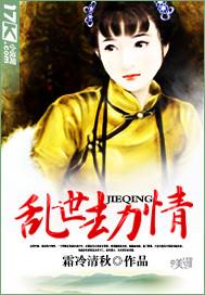乱世劫情电视剧