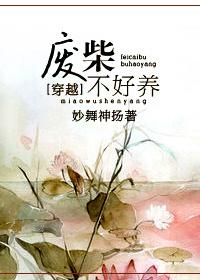 穿越废柴gl