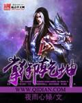 掌御乾坤后把什么材质