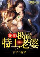 极品特攻