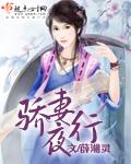 夜宠娇妻