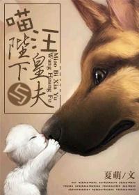 喵陛下养鱼记