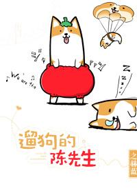 遛狗的陈先生 书包网