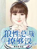 狼性总裁宠够没