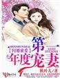 闪婚蜜爱，年度第一宠妻